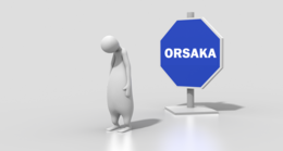 Orsaka